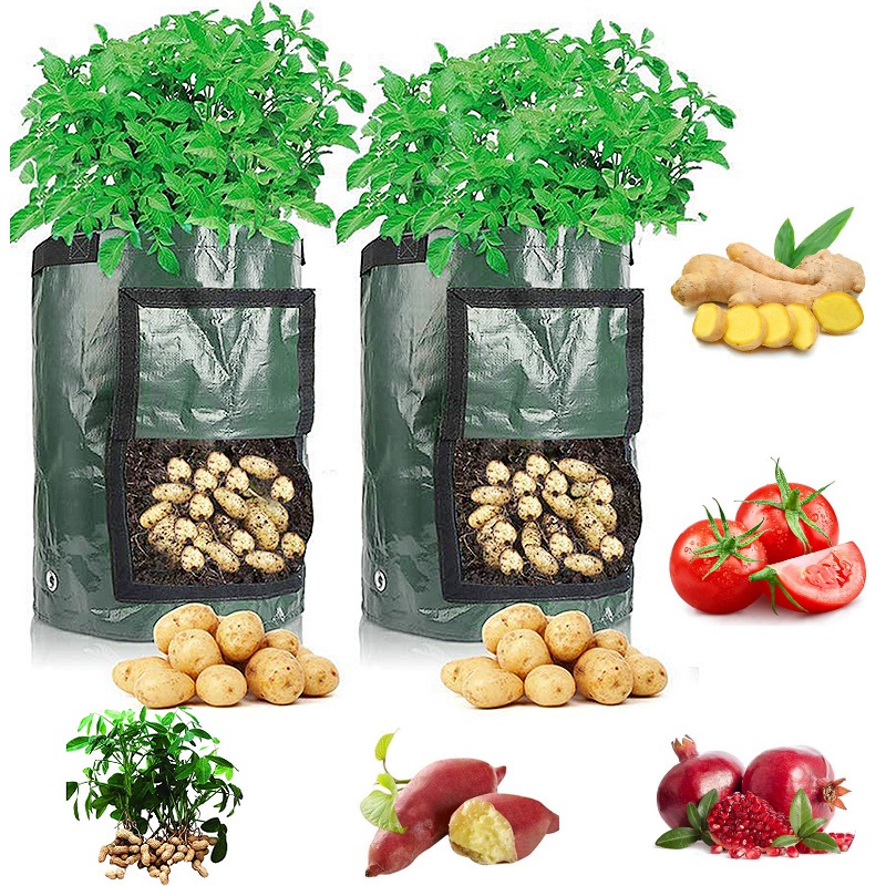 Potato Grow Bags 10 Gallon Thick Pe Fabric Pots For - Temu