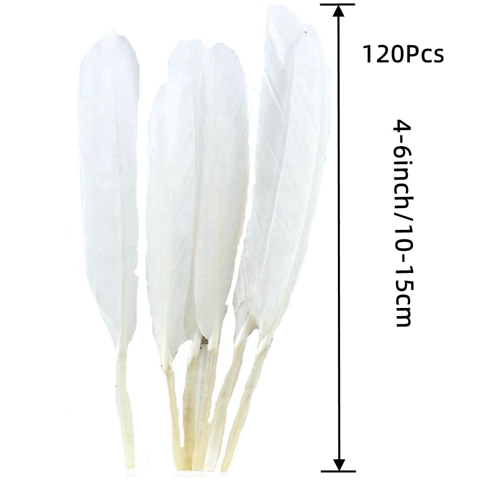 Plumas de ganso Natural para disfraz, plumas blancas de 4-6 pulgadas/10-15  cm para