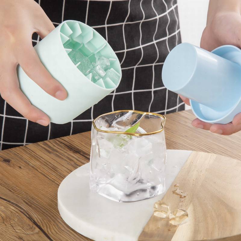 Ice Tray Storage - Temu