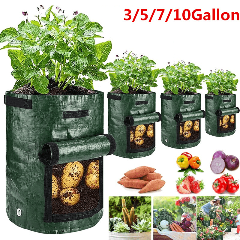 Large Rectangular Plant Growing Bag, Pot With Treatment Reusable Garden ...