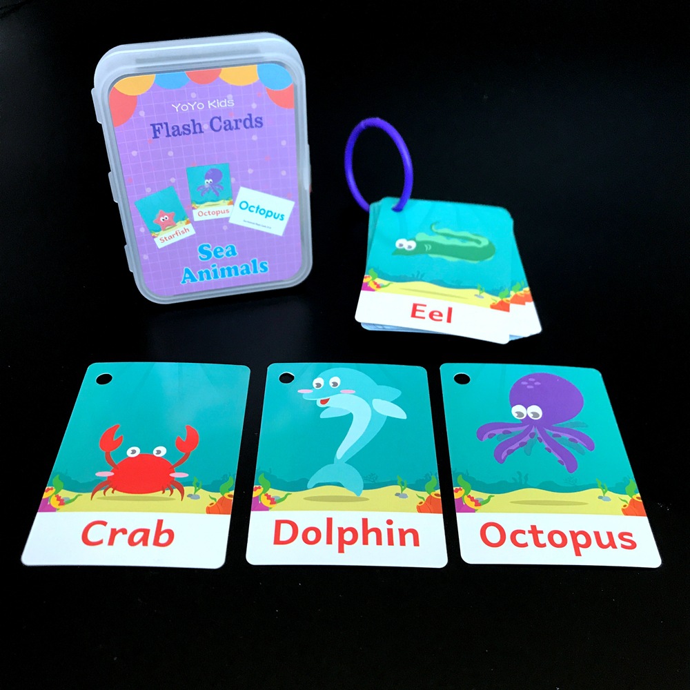 20pcs Enfants Enfant Éducation Précoce Apprentissage De L'anglais Carte  Flash Organisation Scolaire Flashcard Aide Pédagogique Fruit Animal  Transport