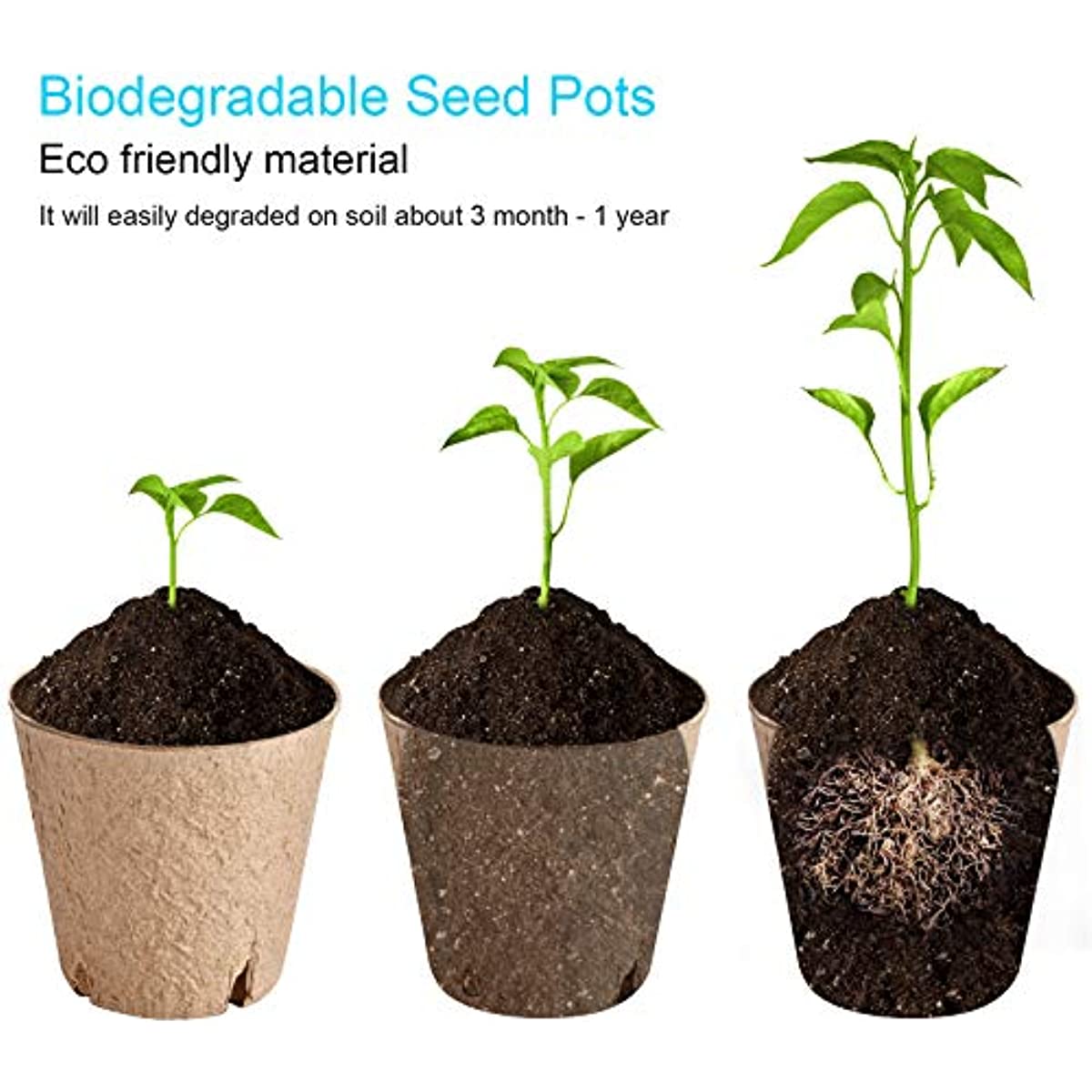 Germination Plant Starter Kit Peat Pots Seedling - Temu
