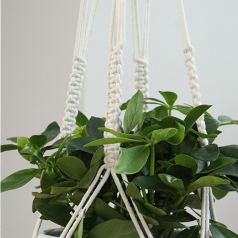 Nine unique hanging plants with: Crochet pattern