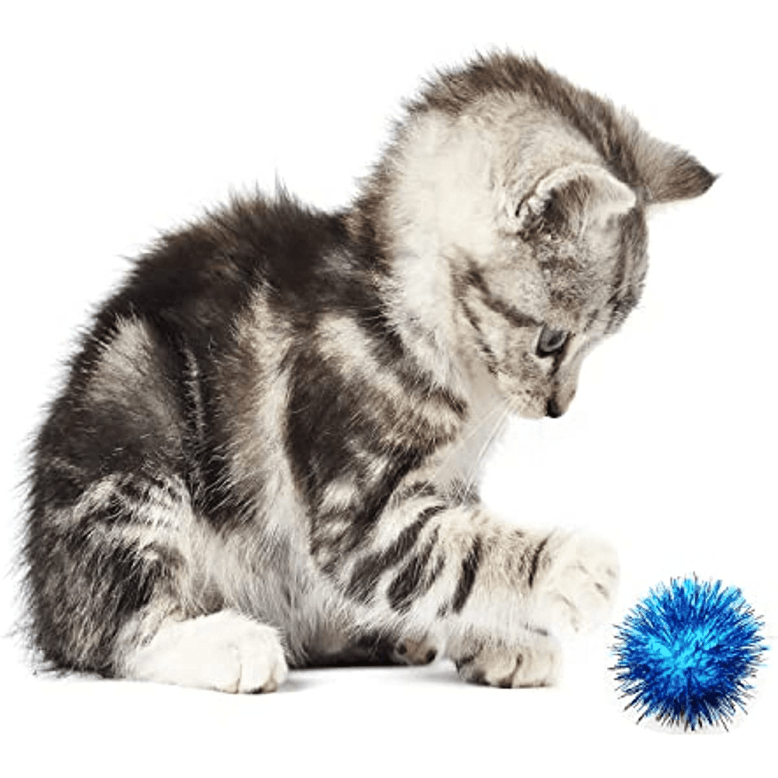 Colorful Flash Balls Cat's Favorite Interactive Toy! Temu