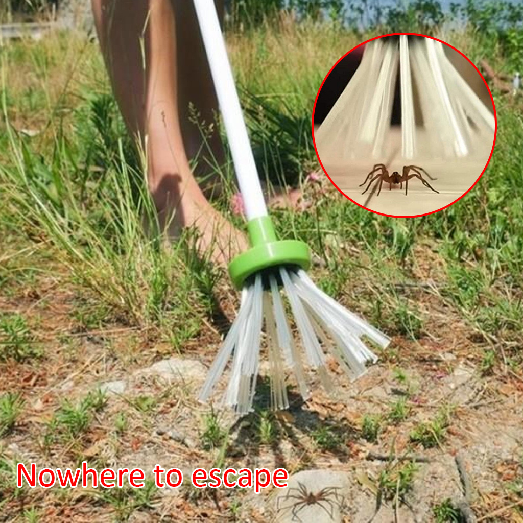 Hand held Critter Catcher Insect Catching Spider Trap Insect - Temu Canada