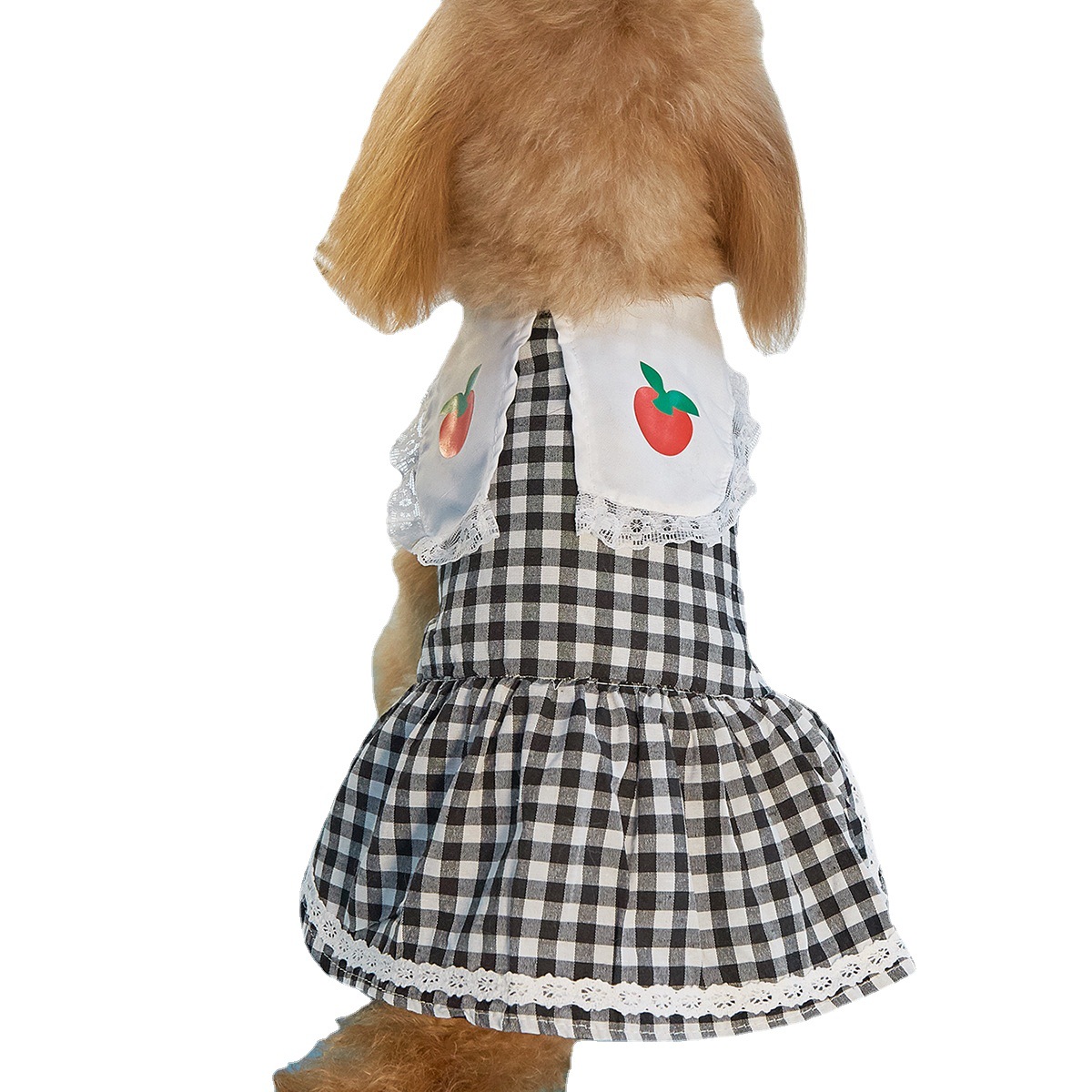 Female Dog Dress