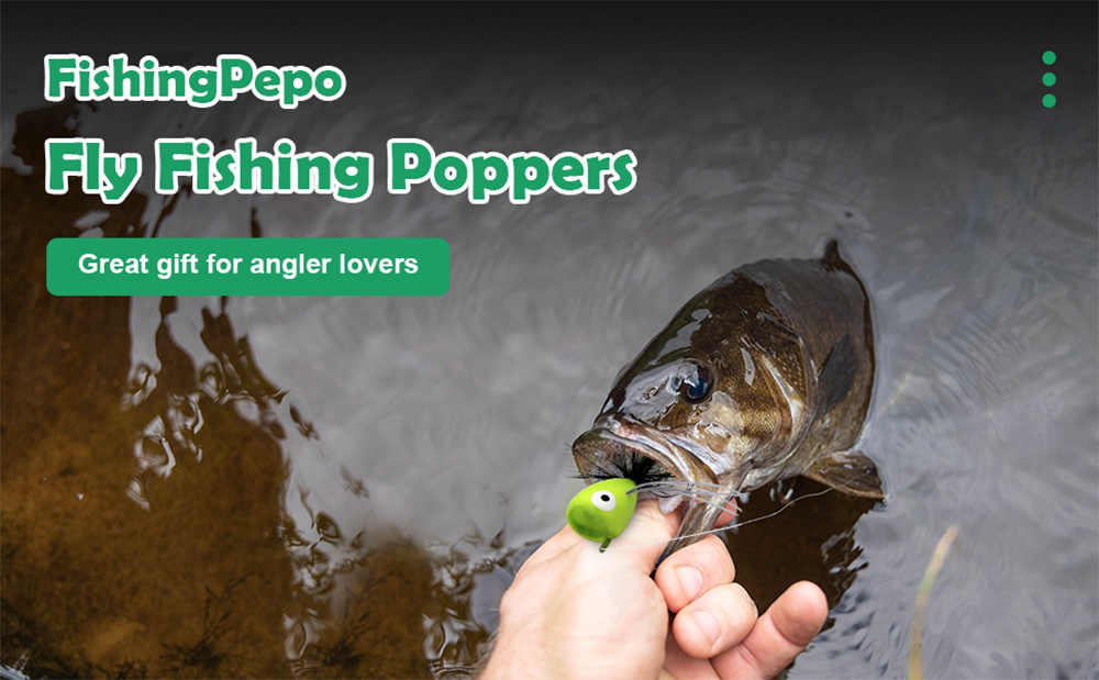 Buy XFISHMAN Popper-Flies-for-Fly-Fishing-Topwater-Bass-Panfish-Bluegill  Poppers Flies Bugs Lures Online at desertcartOMAN