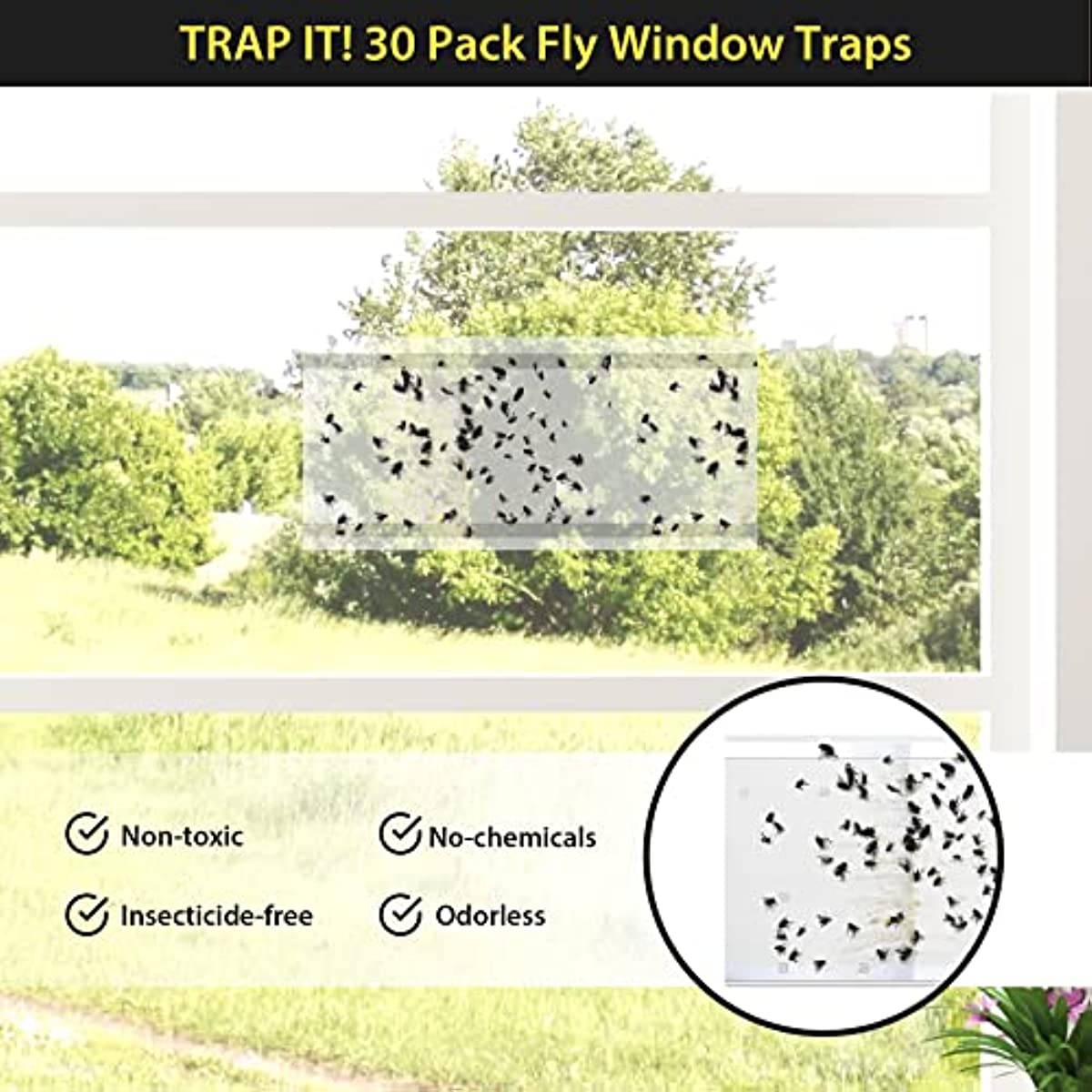30 Pack XL Window Fly Traps Clear Paper Sticky Fly Strips Indoor Insects  Catcher