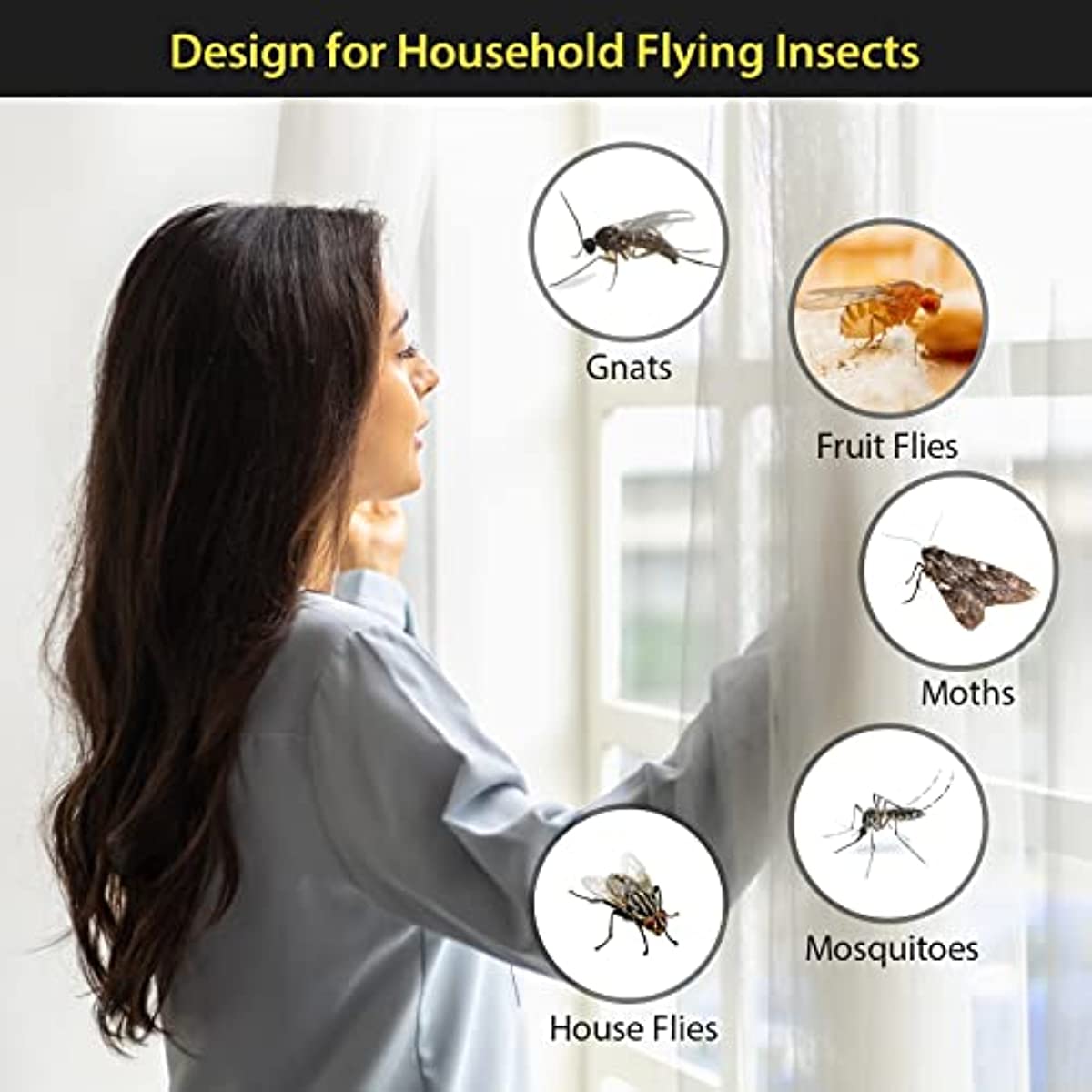 30 Pcs Window Fly Traps for Indoor, Fly Paper Sticky Strips, Fly Catcher  Clear Windows Trap for Home, House Fly Killer Lady Bug Traps Indoor