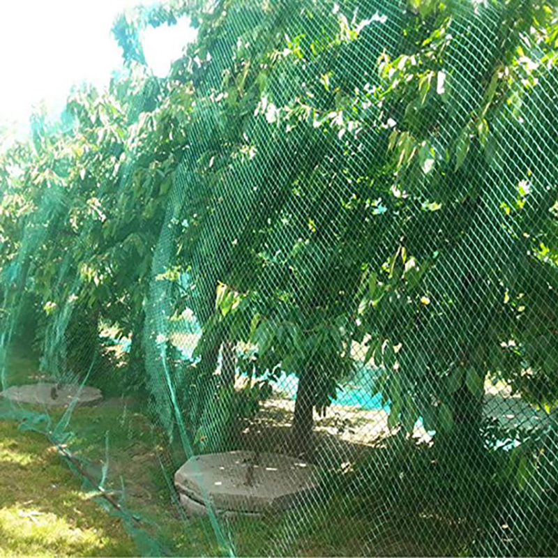 Filets pour jardin, Filet de protection pour arbres fruitiers 118