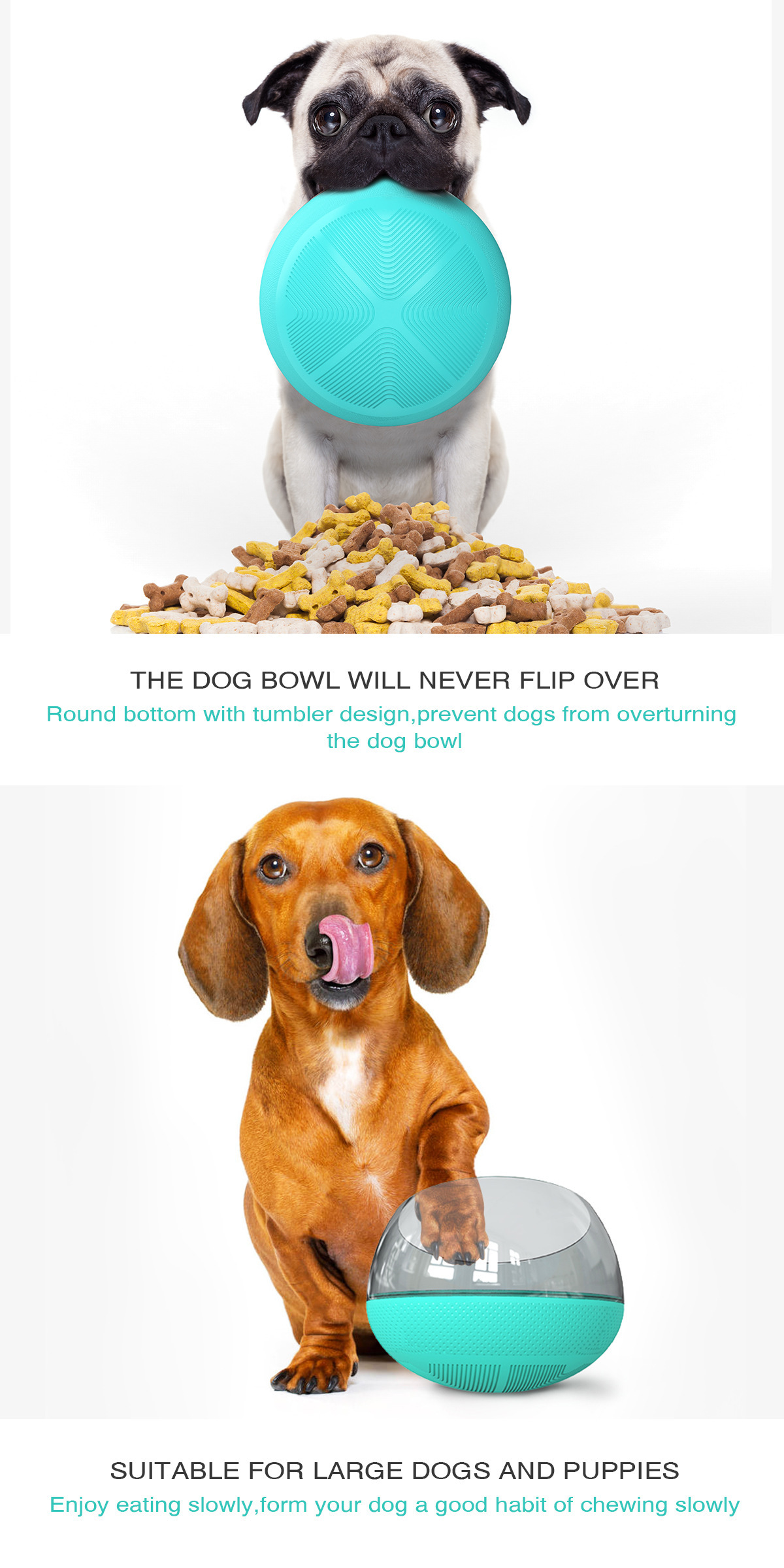 Dog flipping outlet bowl