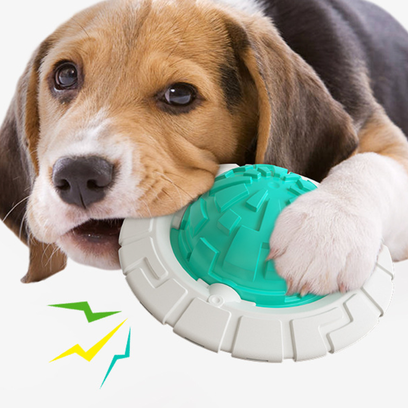 Pet Dog Toys Flying Discs Interactive for Small Large Dogs Bite Resistant  Aggressive Chewers Dog Toy Food Box Basket Flirt Pole