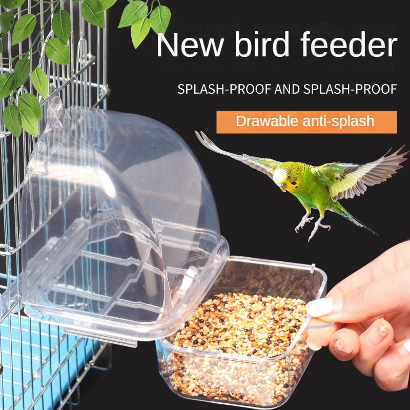 Mangeoire pour oiseaux transparente
