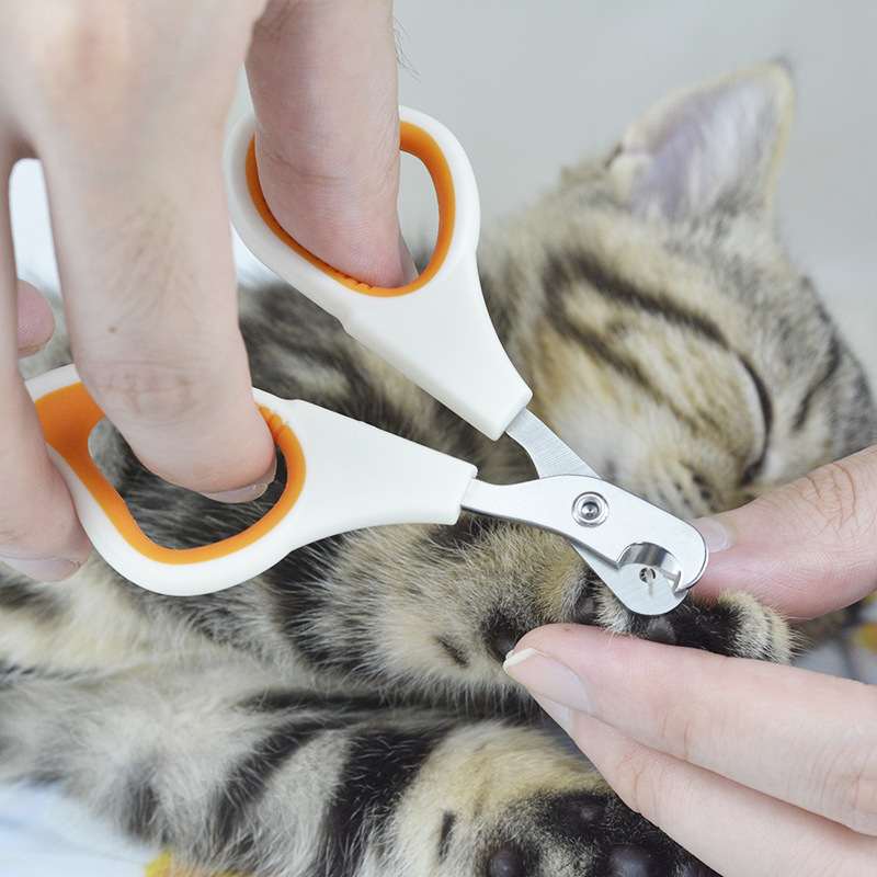 Stainless Steel Nail Trimmer for Dogs Cats.