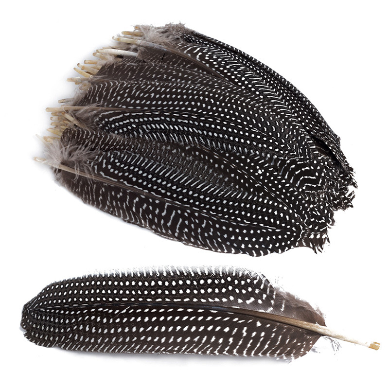 White Black Pheasant Feathers Crafts Home Furnishing Decor - Temu