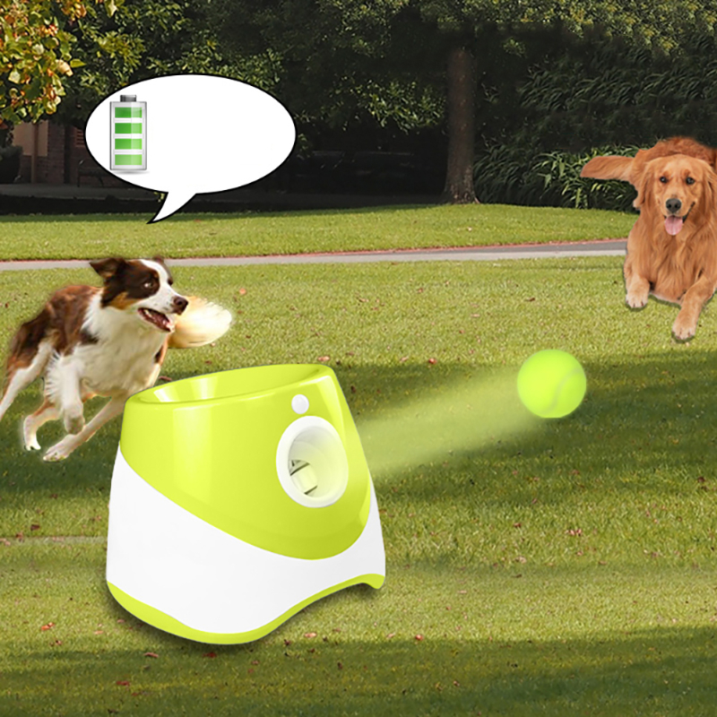 Lanzador automático de pelotas para perros, 10-30 pies, 3 distancias de  lanzamiento, incluye 3 pelotas de tenis, juego de entrenamiento, máquina de  Gris Salvador Lanzador automático de bolas