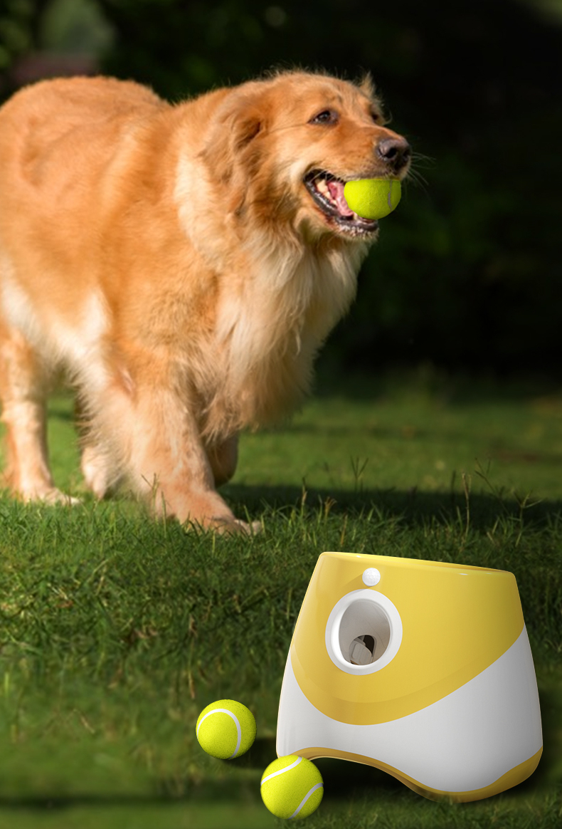 Lanceur automatique de balles interactives pour chiens - Machine à  récompense alimentaire - Machine à balles de tennis pour dresser des chiens