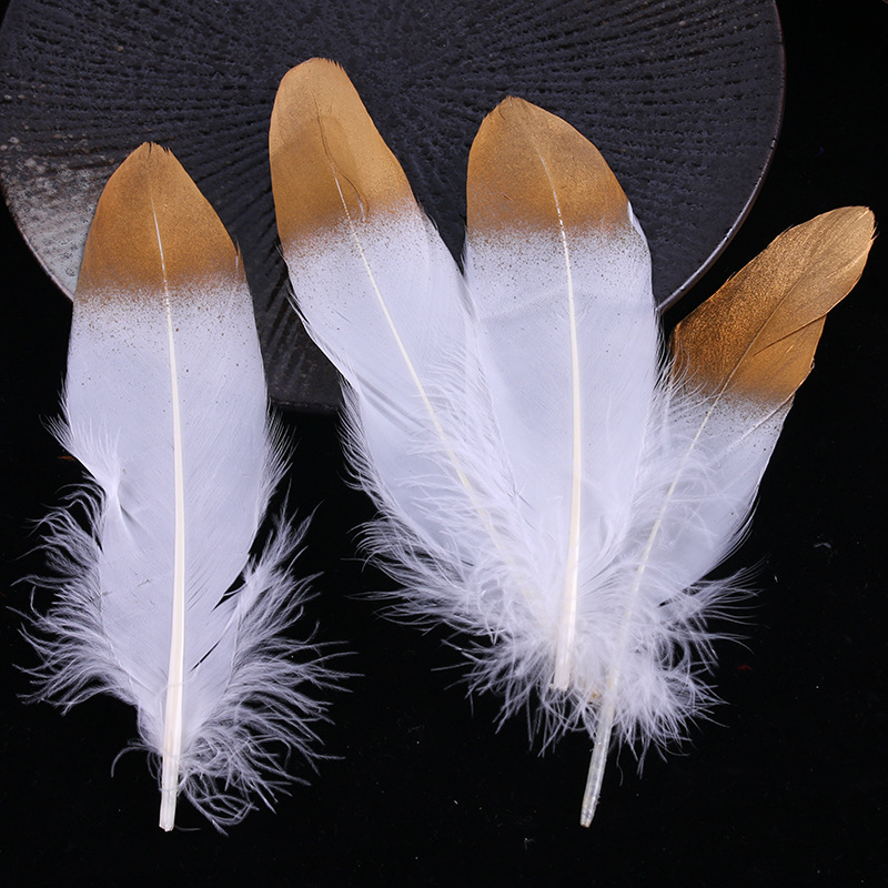 Goose Feathers