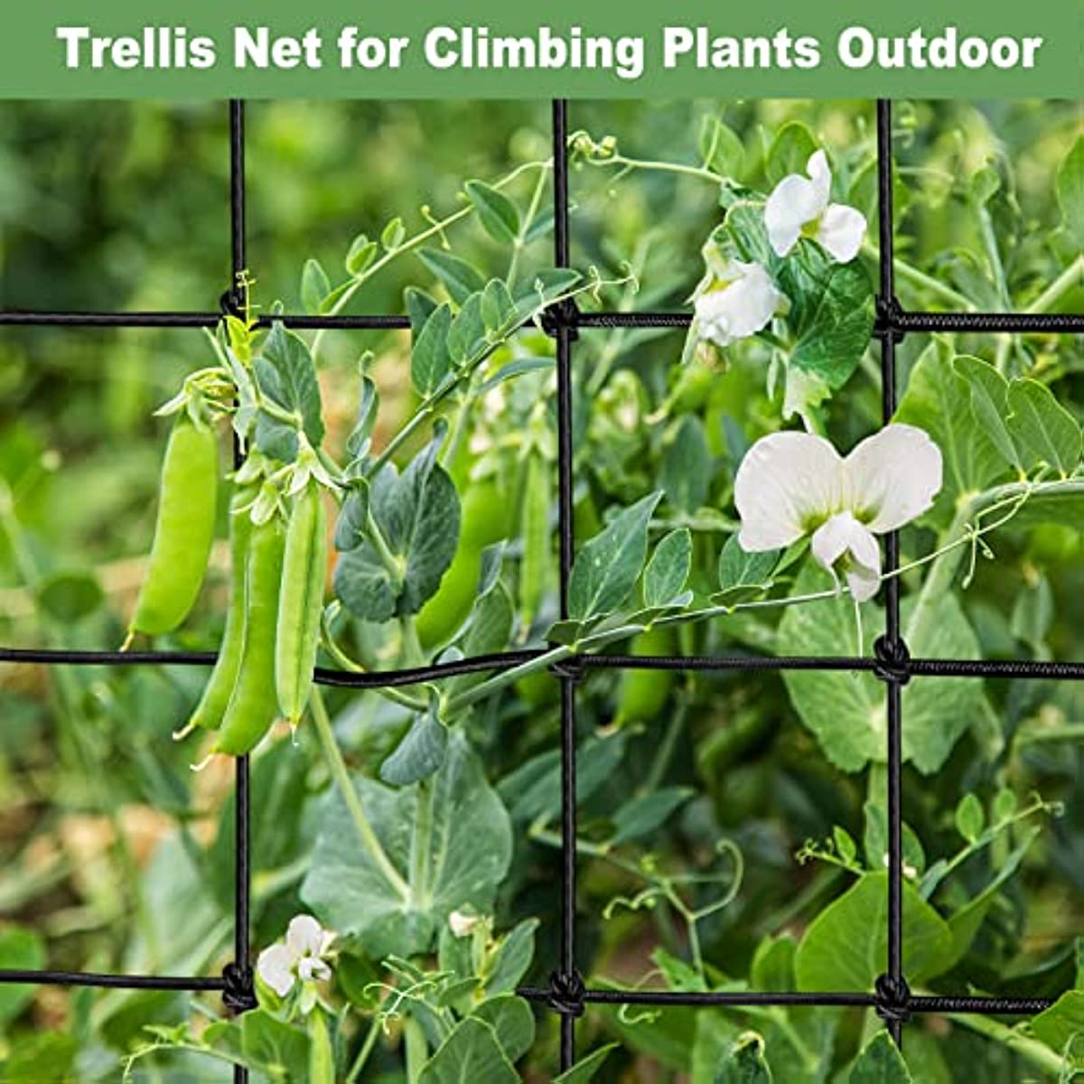 Gukasxi wachsen Zelt Netz, elastische Spalier Netz mit 4 Haken, Pflanze  Unterstützung Netz für Gemüse Früchte Blumen, Nylon Netz für Garten