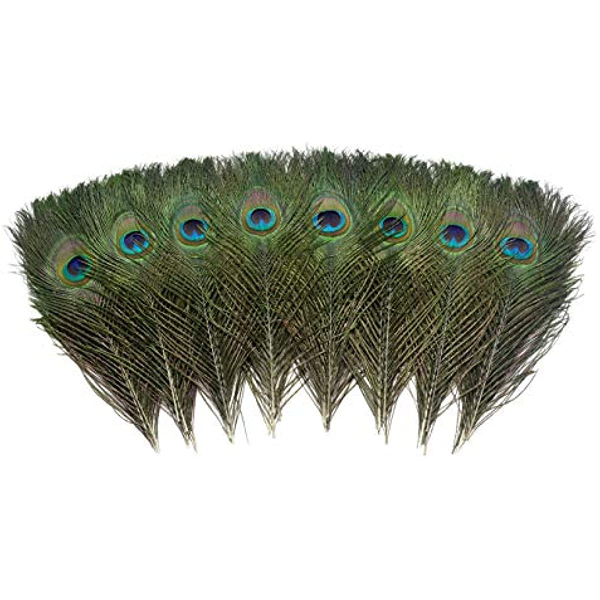 20pcs Dyed Peacock Feathers 10-12 Inch Feather for Crafts Hat Costume  Christmas Tree Decor Wedding Holiday Decoration Floral Arrangements  (Turquoise)