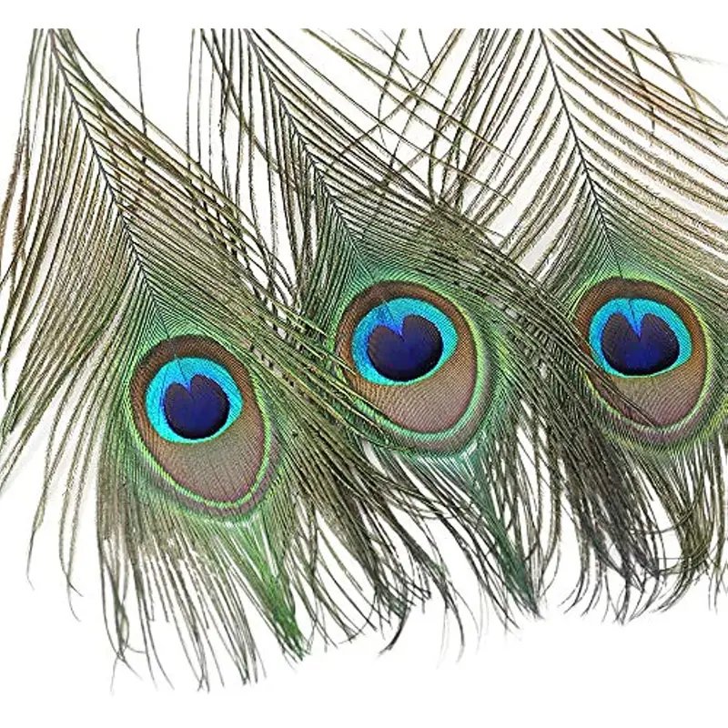 20pcs/10pcs/5pcs Peacock Eye Feathers For DIY Craft, Wedding And