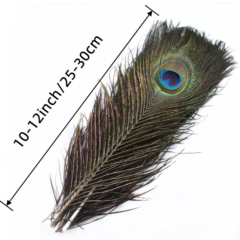 left And Right)of Peacock Feathers Peacock Sword Feathers / - Temu