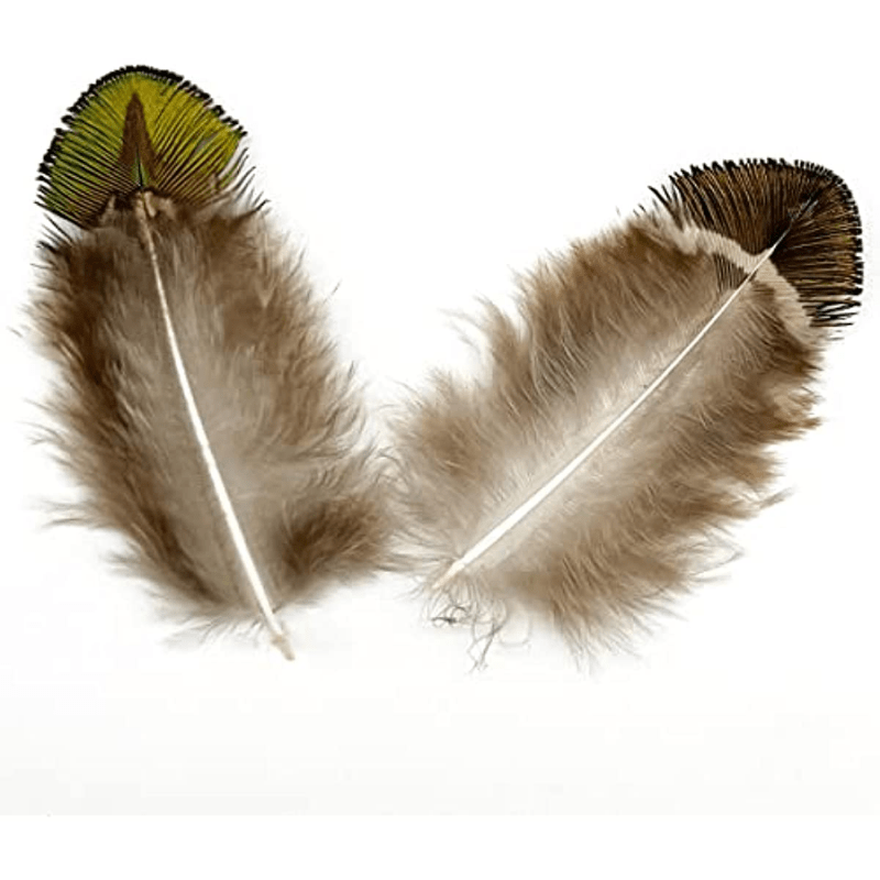  LWINGFLYER 100PCS 2-3 Peacock Pheasant Plumage Feathers Gold  Green Small Natural Feathers for Craft Dream Catchers : Arts, Crafts &  Sewing