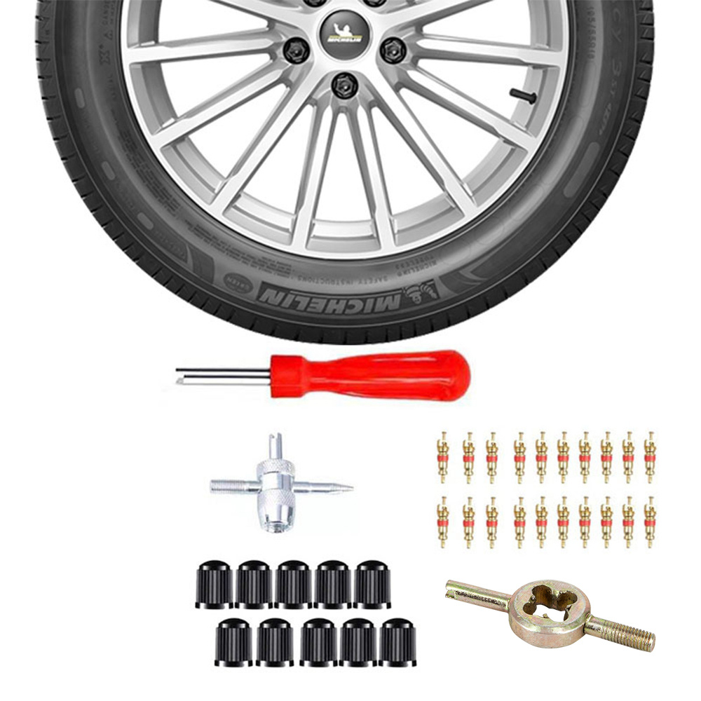 Car Tire Repair Tool Kit Slotted Handle Tire Valve Stem Core - Temu
