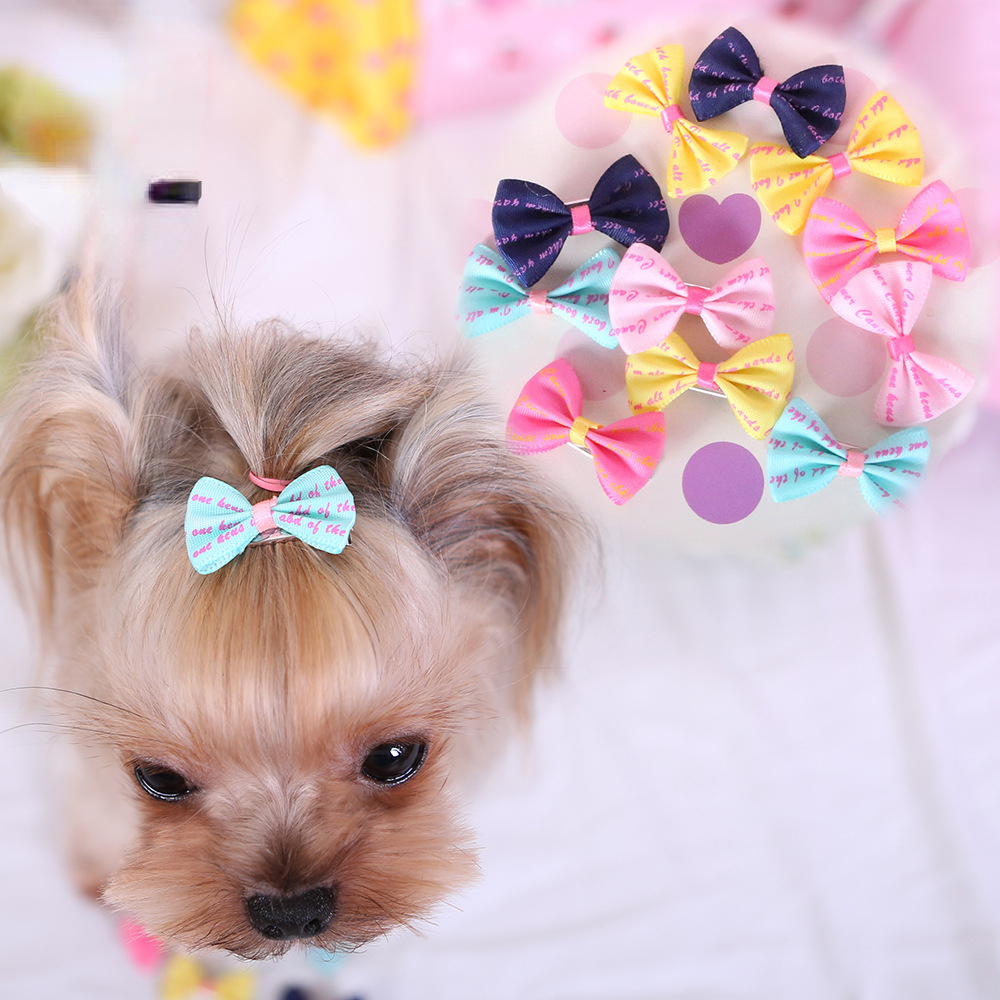 Dog hair accessories best sale