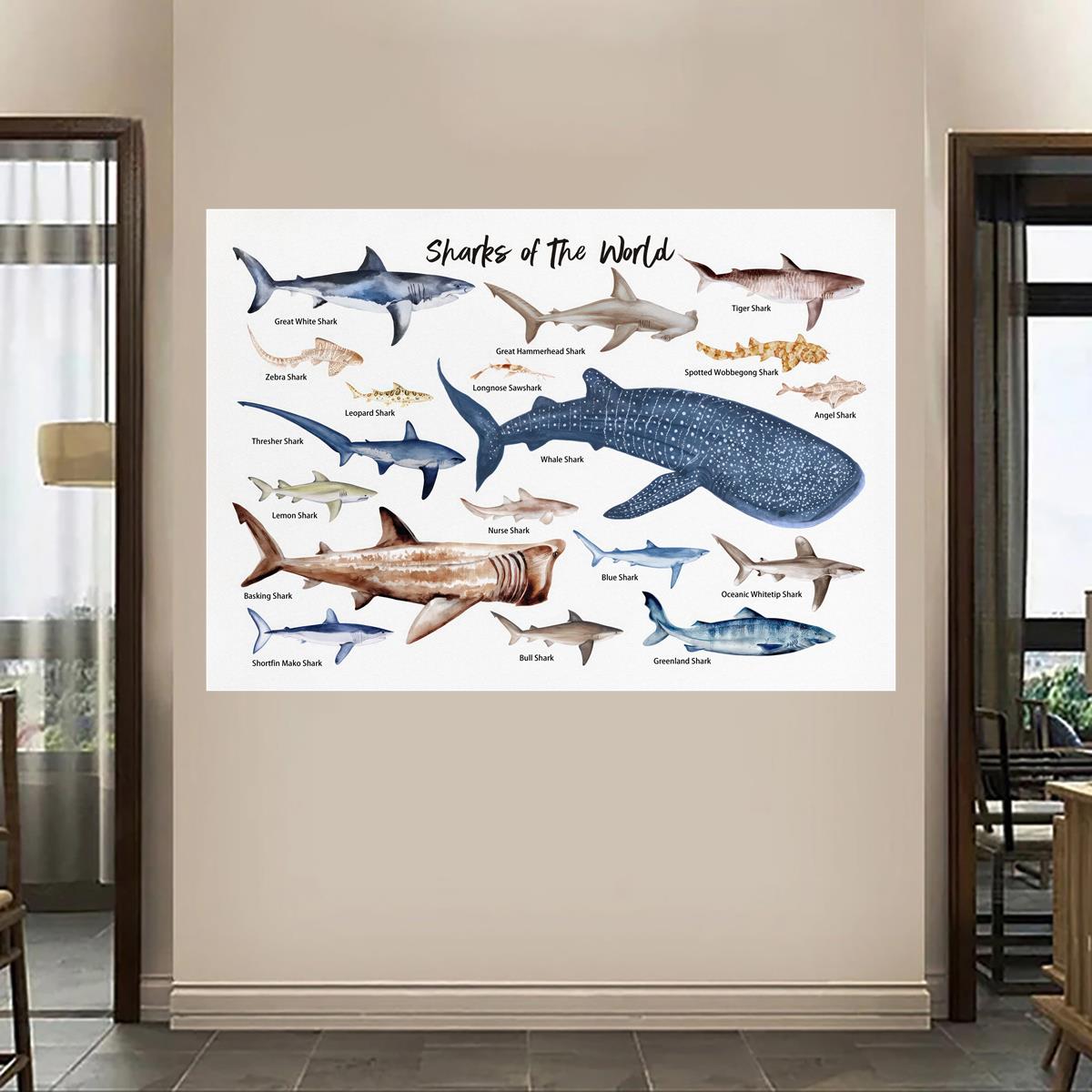 1PC Early Homeschool Childhood Education Canvas Wall Art Poster, Sharks Of  The World Wall Art Nautical Home Decor Ocean Animals Wall Decor Housewarmin
