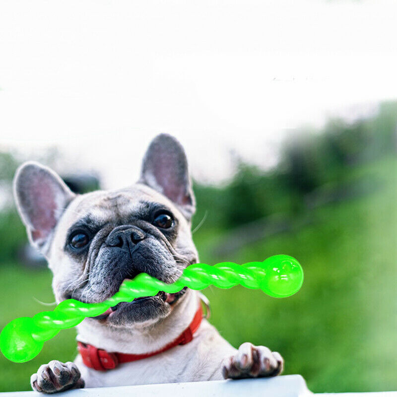 Pet Product Rubber Dog Toy with Thorn Bone Rubber Molar Teeth Pet Toy Dog  Bite Resistant Molar Training Grinding Teeth To Smell