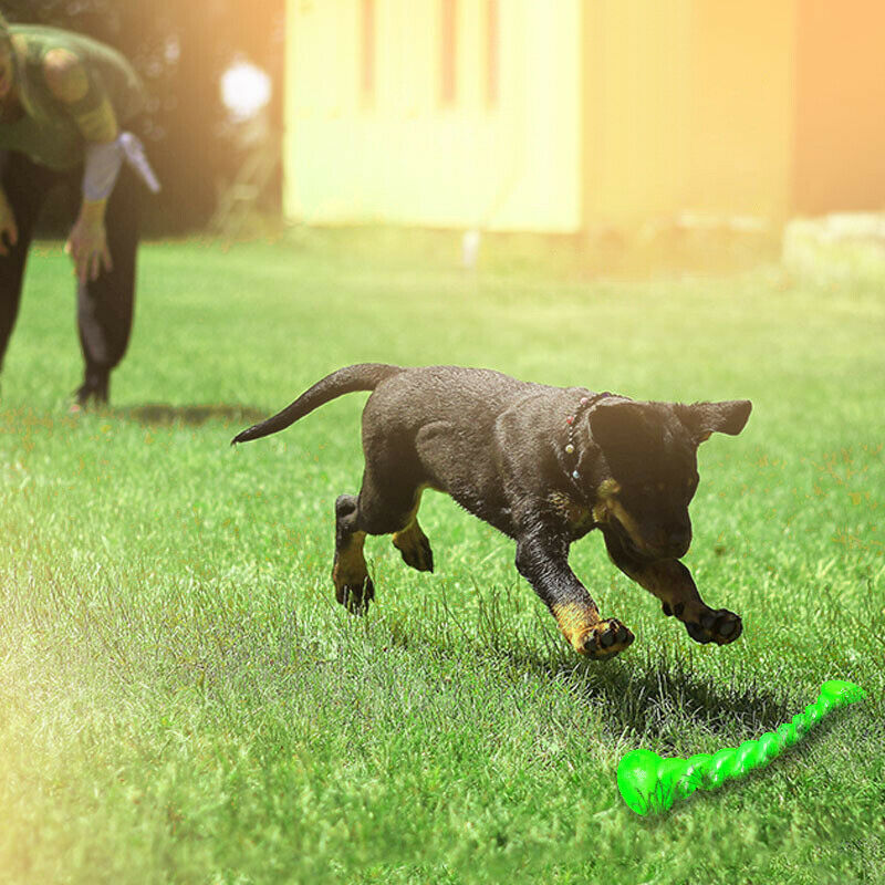 Perro de juguete interactivo Ball-Dog Voovpet molares, la limpieza de los  juguetes adecuados para pequeñas y medianas y grandes perros perro Mastique  los juguetes - China Chewers y Nylabones precio