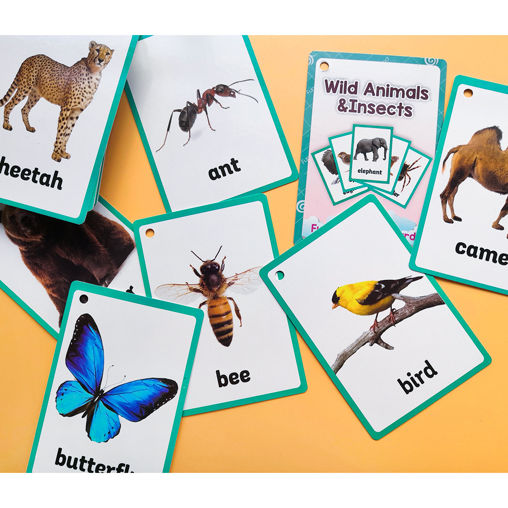 20pcs Enfants Enfant Éducation Précoce Apprentissage De L'anglais Carte  Flash Organisation Scolaire Flashcard Aide Pédagogique Fruit Animal  Transport