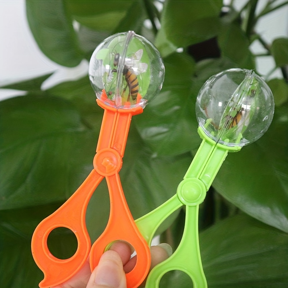Insect Trap Handy Scoopers Bug Catcher Set Insects - Temu