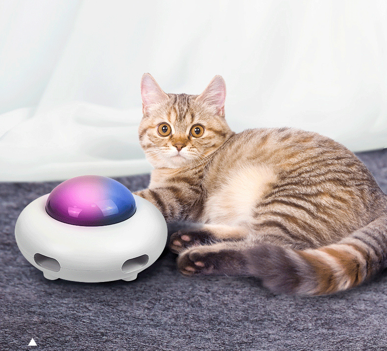 Jouet intelligent lumineux et rechargeable en forme d'ovni avec plumes –  Pour toi Mon chat