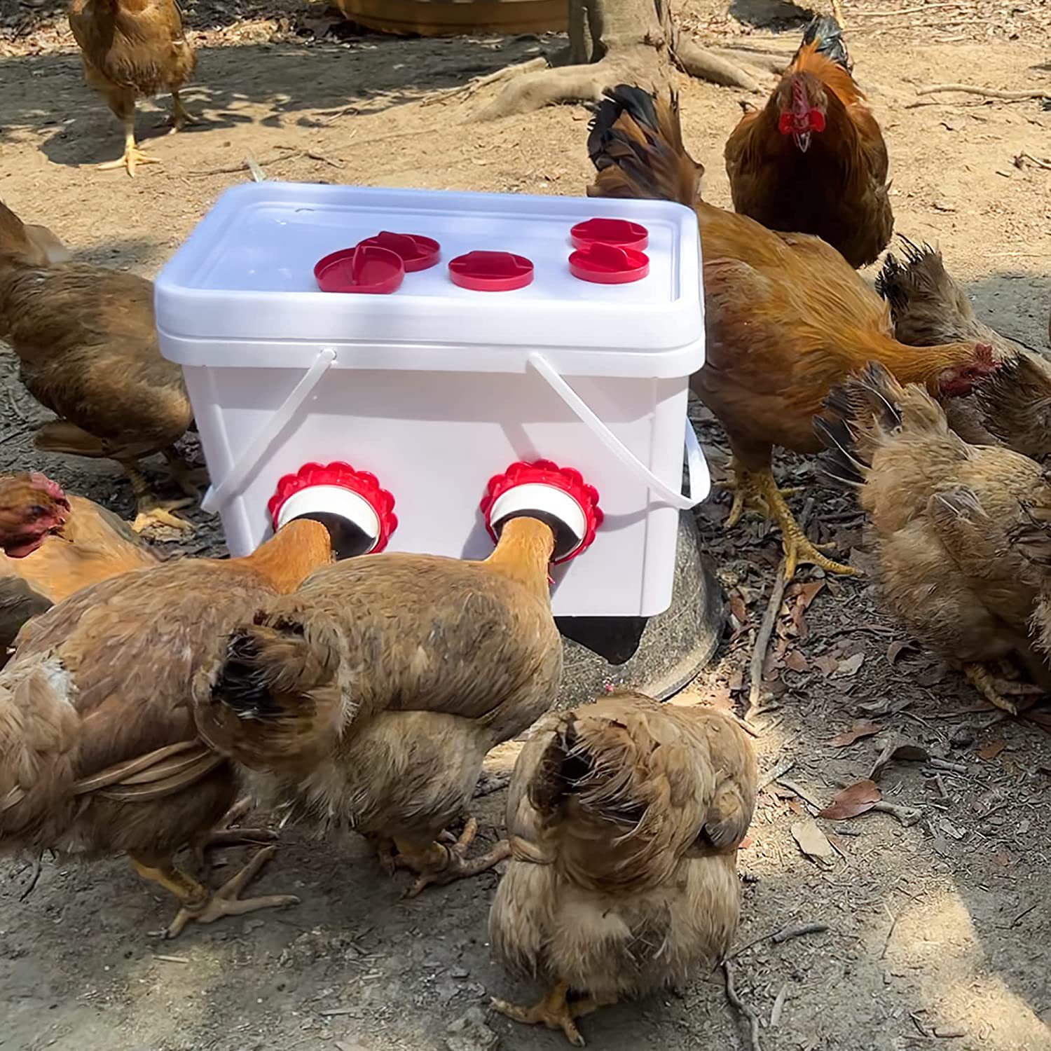 Diy Automatic Gravity Feeder Make Single Chicken Feeder Temu New Zealand