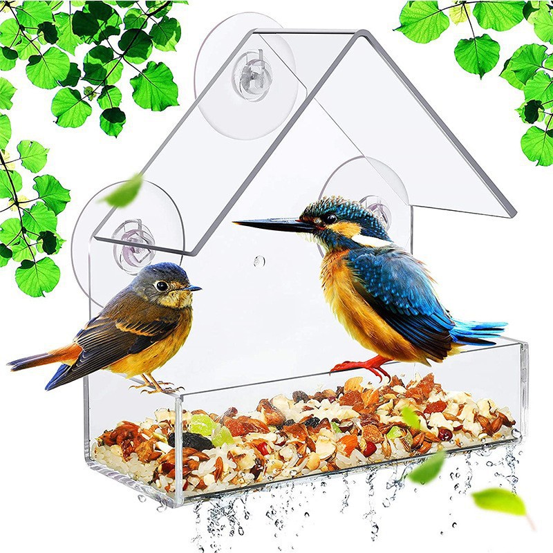 Les Mangeoires Pour Oiseaux De Fenêtre Avec Des Ventouses