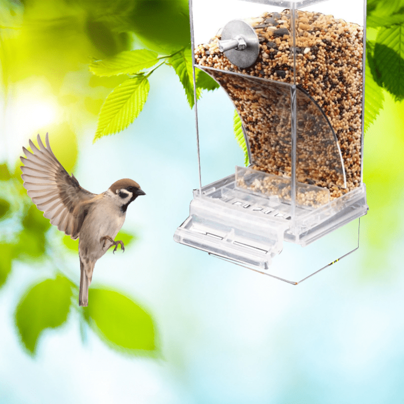 Mangeoire à Oiseaux Automatique Mangeoire pour Oiseaux sans Gâchis  Mangeoire en Acrylique pour Cage à Oiseaux Nourriture pour Petite Moyenne  Perruches