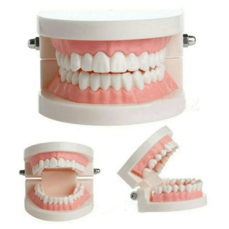 Couronne de Fausses Dents en Résine, Couronne Temporaire Dentaire, Kit de  Réparation de Dents Facettes de Dents Soins Bucco-dentaires Multi-usages