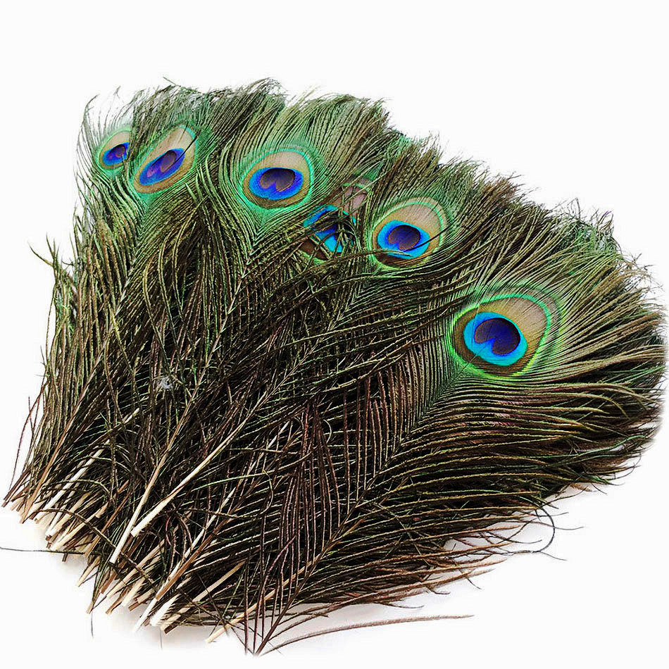 Worldoor 20 Pcs Natural Real Peacock Feathers for Crafts 25-90cm Dress is  with Home Hotel Decor Room vase Wedding Decoration Plumes (28-32inch)