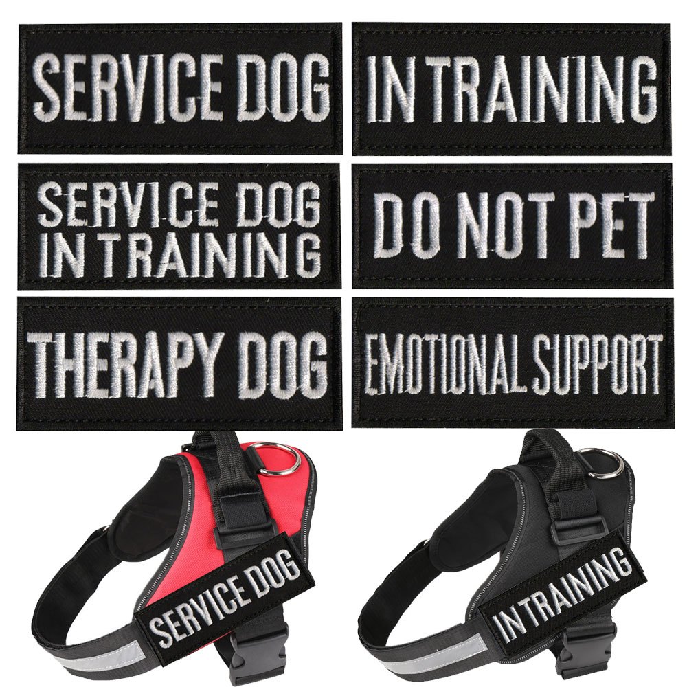 Service Dog Patch for Dog Service hook and loop 3.5x1.65 inches