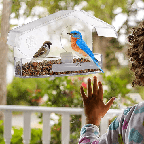 acrylic clear glass window birds hanging feeder birdhouse food feeding house with suction cup