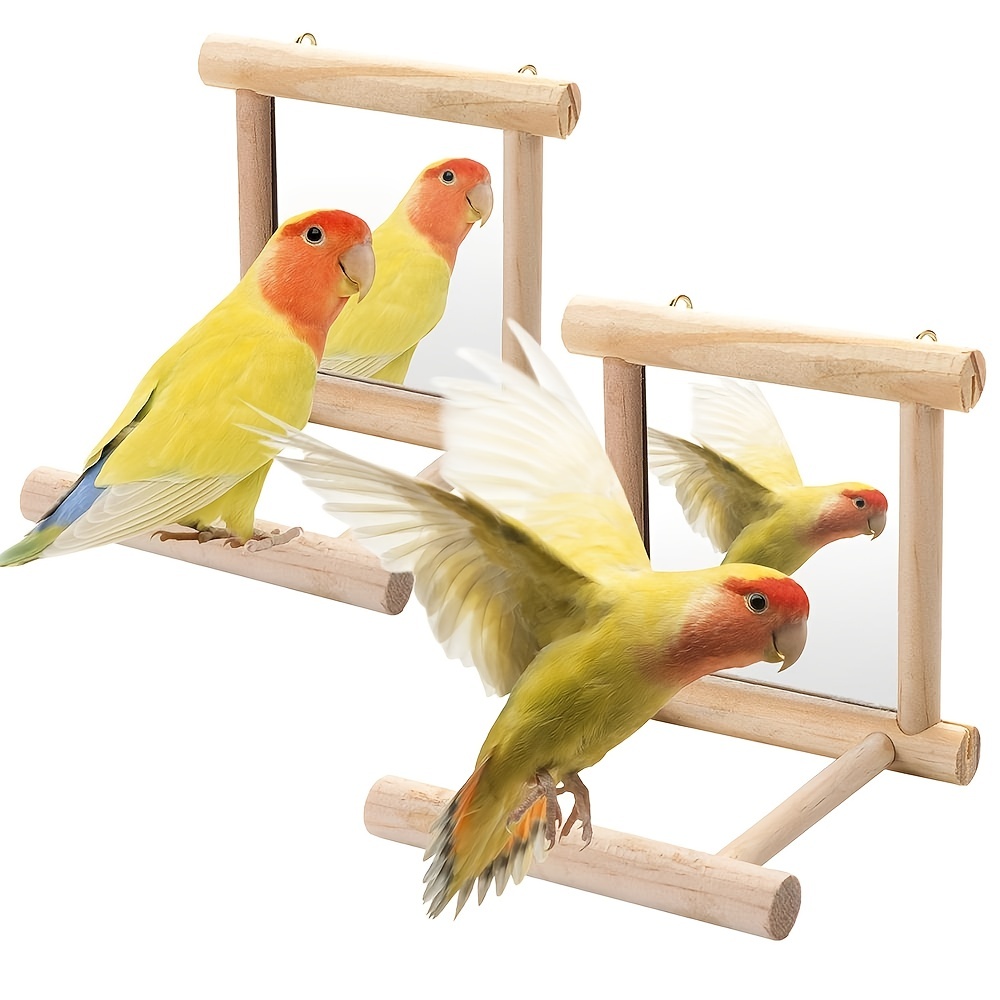 Bird Mirror Wooden Perch Interactive Hanging Toy Game Parrot - Temu