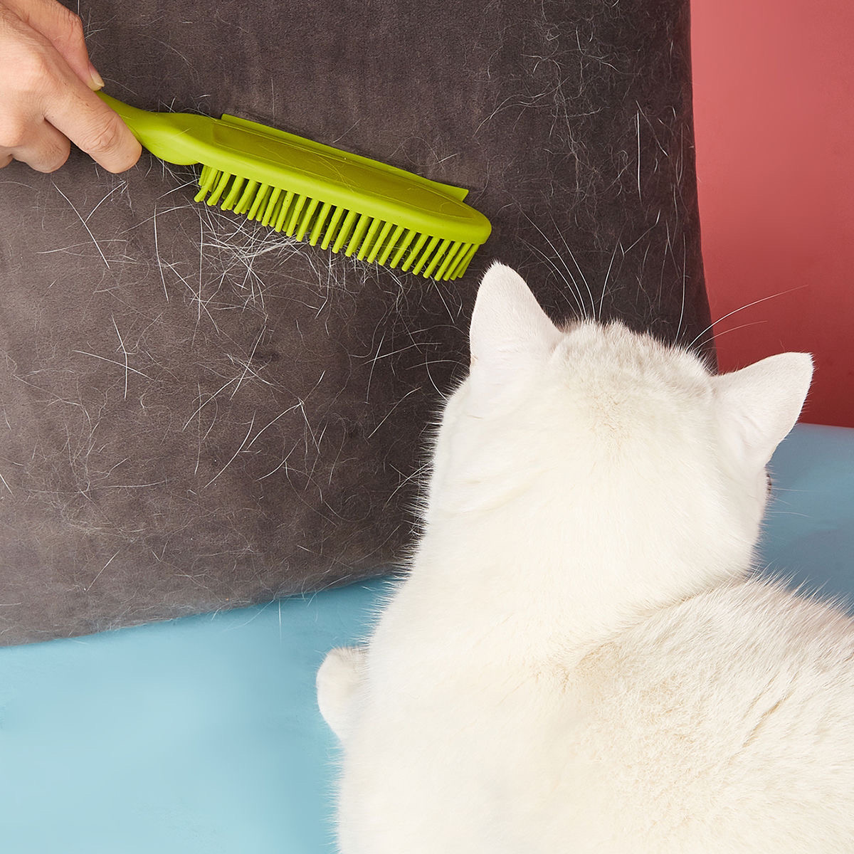 Pet Hair Removal Brush