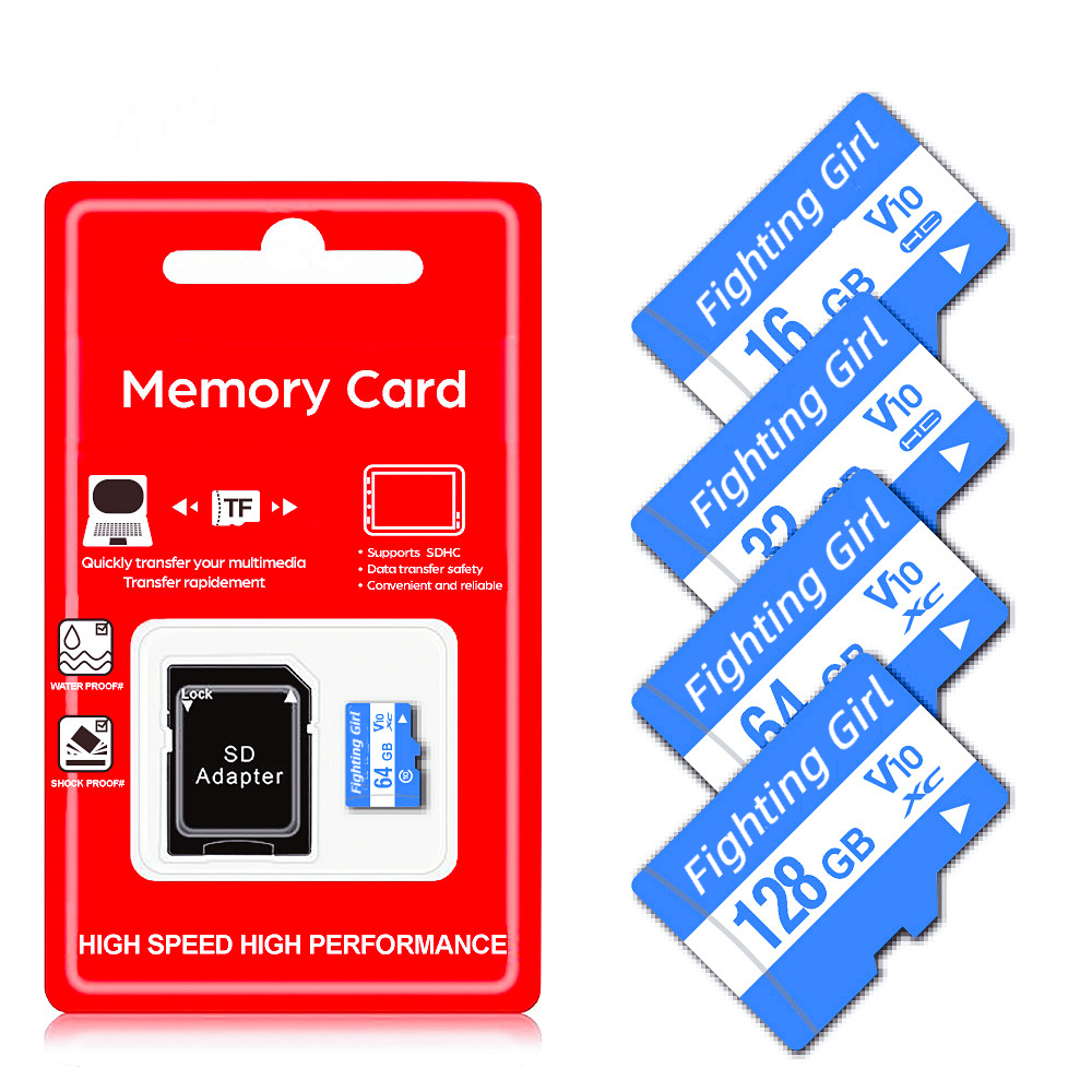 Cloudisk Lot de 10 Cartes Micro SD 1 Go avec Adaptateur microSD Lecteur de  Carte mémoire (10 Pack 1 Go)