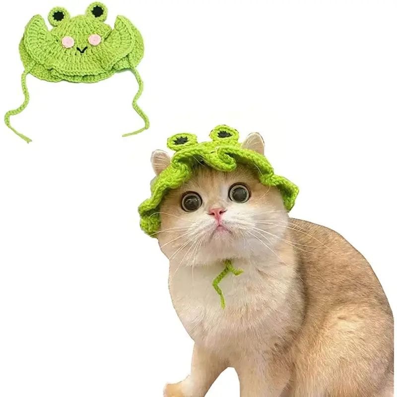 Niedliche Gestrickte Frosch-förmige Haustierkappe Katzen Halloween-kostüm,  Kätzchen Lustige Kopfbedeckung, Sparen Mehr Ausverkaufsangeboten
