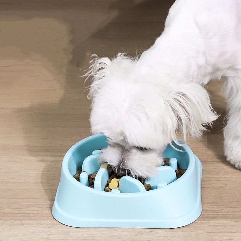 Dog Feeder Slow Eating Pet Bowl Pet Slower Food Feeding Dishes