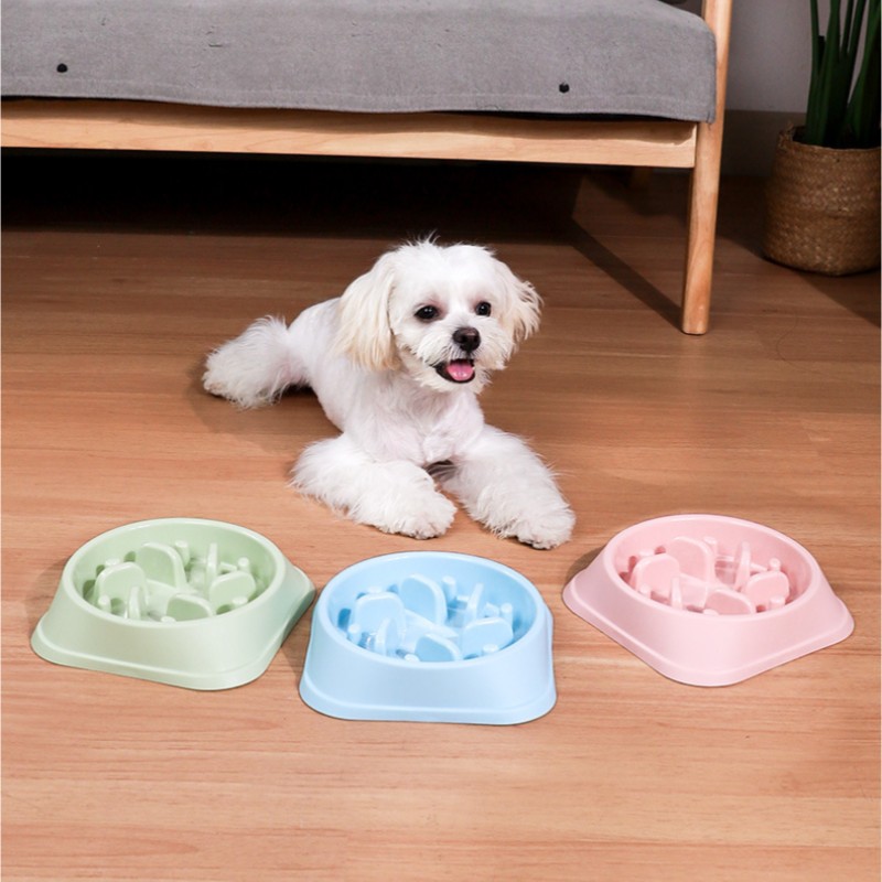 Pet Dog Feeding Food Bowls Puppy Slow Eating