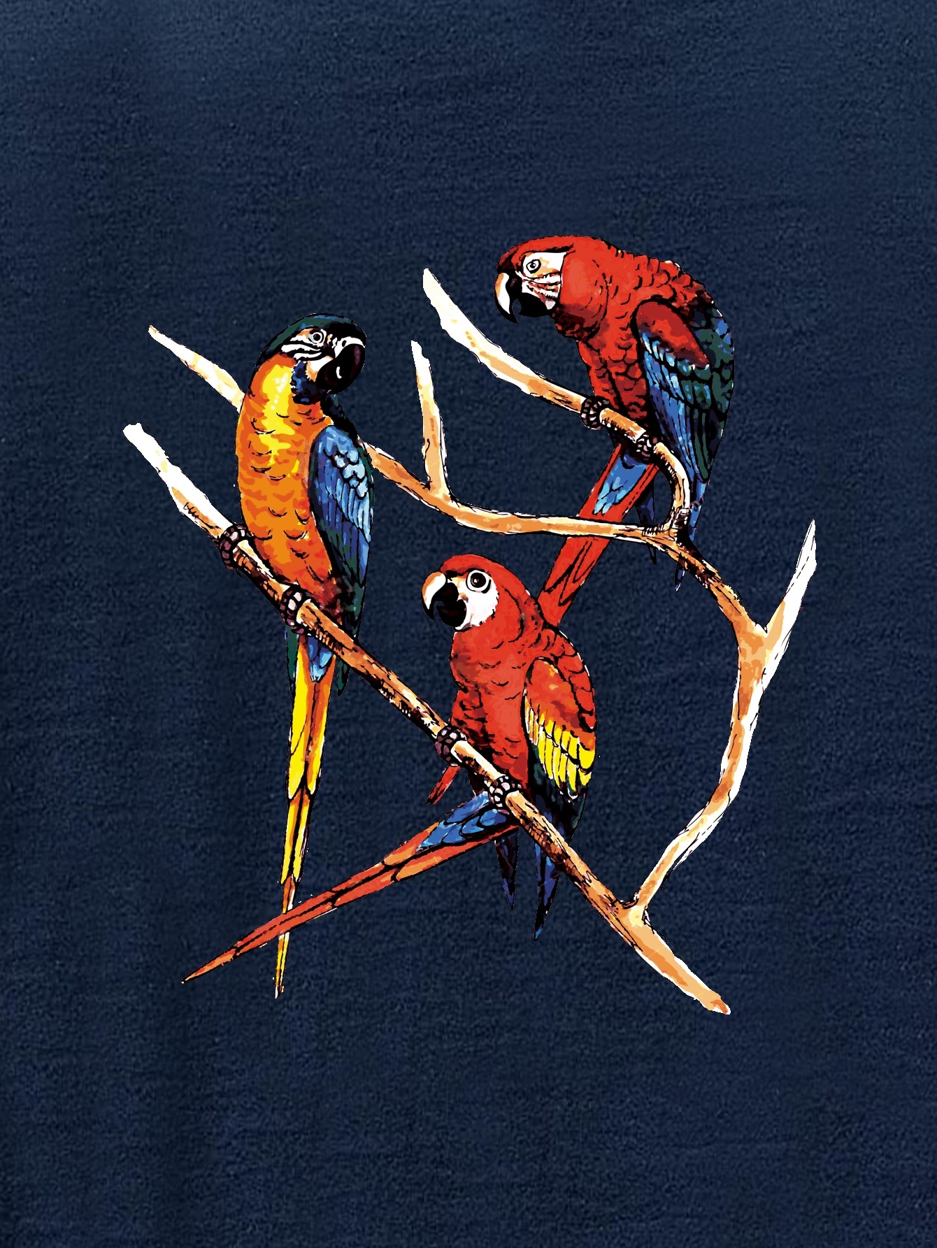 Bird Macaw Graphic tee design - Buy t-shirt designs