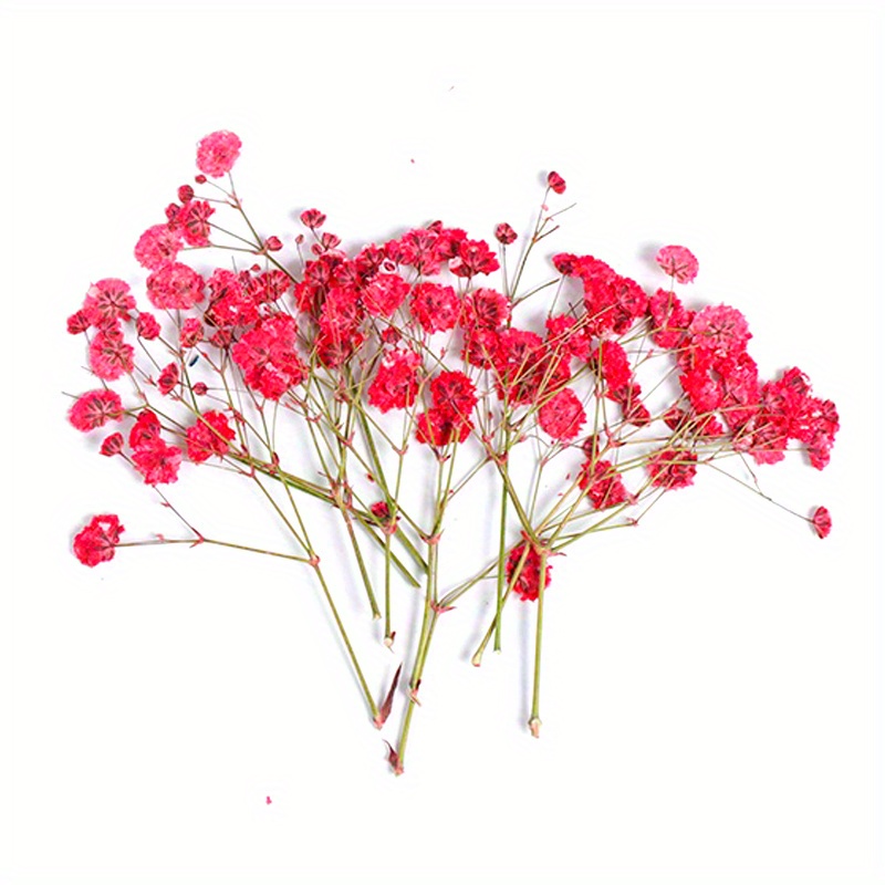 Keimprove Mini Dried Flower Bouquet - Natural Gypsophila Dried Flowers  Handmade Floral Bouquets Dry Flowers Photography Photo Backdrop Home